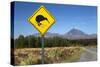 Mount Ngauruhoe with Kiwi Crossing Sign-Stuart-Stretched Canvas