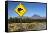 Mount Ngauruhoe with Kiwi Crossing Sign-Stuart-Framed Stretched Canvas