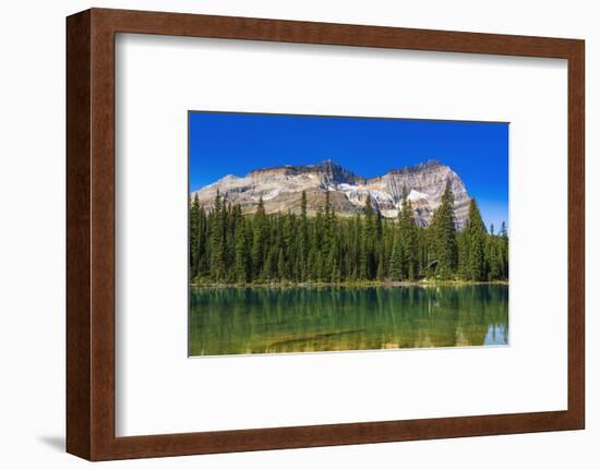 Mount Odaray above Lake O'hara, Yoho National Park, British Columbia, Canada-Russ Bishop-Framed Photographic Print