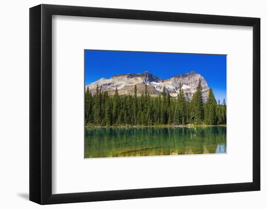 Mount Odaray above Lake O'hara, Yoho National Park, British Columbia, Canada-Russ Bishop-Framed Photographic Print