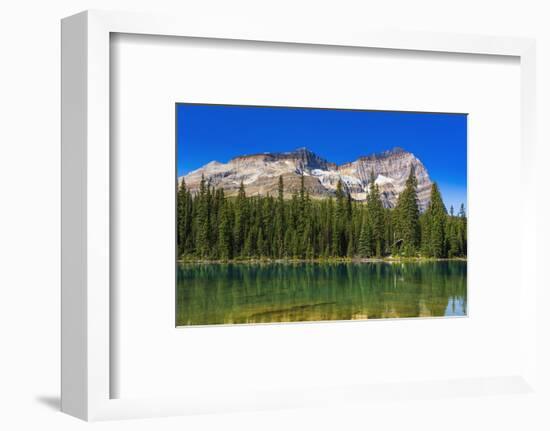 Mount Odaray above Lake O'hara, Yoho National Park, British Columbia, Canada-Russ Bishop-Framed Photographic Print