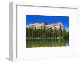 Mount Odaray above Lake O'hara, Yoho National Park, British Columbia, Canada-Russ Bishop-Framed Photographic Print