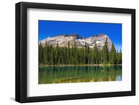 Mount Odaray above Lake O'hara, Yoho National Park, British Columbia, Canada-Russ Bishop-Framed Photographic Print