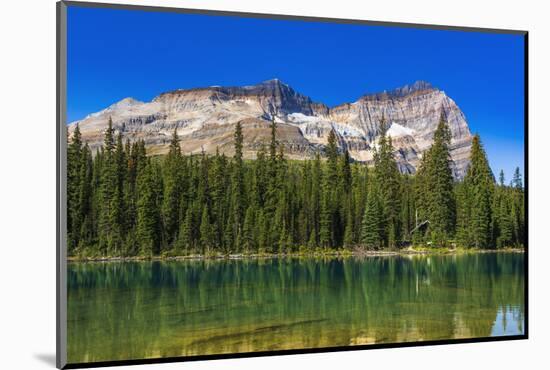 Mount Odaray above Lake O'hara, Yoho National Park, British Columbia, Canada-Russ Bishop-Mounted Photographic Print