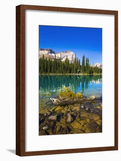 Mount Odaray above Lake O'hara, Yoho National Park, British Columbia, Canada-Russ Bishop-Framed Photographic Print