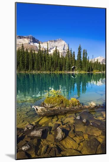 Mount Odaray above Lake O'hara, Yoho National Park, British Columbia, Canada-Russ Bishop-Mounted Photographic Print