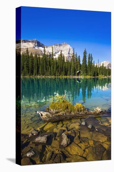 Mount Odaray above Lake O'hara, Yoho National Park, British Columbia, Canada-Russ Bishop-Stretched Canvas