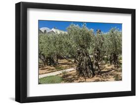 Mount of Olives, Church of All Nations (Also known as the Church or Basilica of the Agony), the Gar-Massimo Borchi-Framed Photographic Print