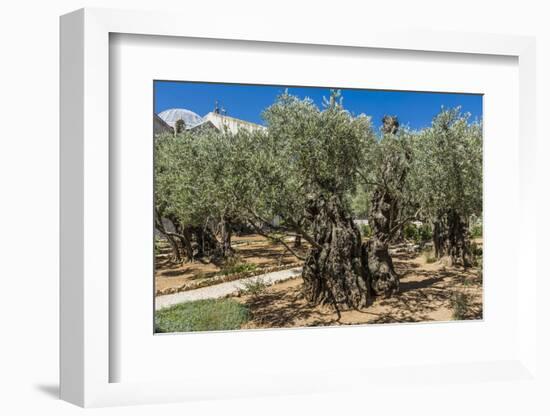 Mount of Olives, Church of All Nations (Also known as the Church or Basilica of the Agony), the Gar-Massimo Borchi-Framed Photographic Print