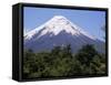 Mount Osorno, a Volcano in Vicente Rosales National Park, Lake District, Chile, South America-Ken Gillham-Framed Stretched Canvas