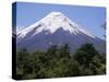 Mount Osorno, a Volcano in Vicente Rosales National Park, Lake District, Chile, South America-Ken Gillham-Stretched Canvas