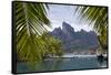 Mount Otemanu As Seen Through Palm Fronds At The Four Seasons Bora Bora. French Polynesia-Karine Aigner-Framed Stretched Canvas