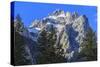 Mount Owen and Pines from Cascade Canyon, Grand Teton National Park, Wyoming, Usa-Eleanor Scriven-Stretched Canvas