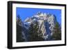 Mount Owen and Pines from Cascade Canyon, Grand Teton National Park, Wyoming, Usa-Eleanor Scriven-Framed Photographic Print