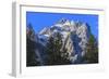 Mount Owen and Pines from Cascade Canyon, Grand Teton National Park, Wyoming, Usa-Eleanor Scriven-Framed Photographic Print