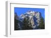 Mount Owen and Pines from Cascade Canyon, Grand Teton National Park, Wyoming, Usa-Eleanor Scriven-Framed Photographic Print