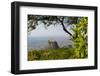 Mount Popa Temple, Mount Popa, Near Bagan, Central Myanmar, Myanmar (Burma), Asia-Stuart Black-Framed Photographic Print