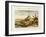 Mount Potosi, Bolivia, C1788-null-Framed Giclee Print