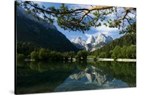 Mount Prisojnik (2,547M) and Mount Razor (2,601M) with Reflection in Pond, Triglav Np, Slovenia-Zupanc-Stretched Canvas