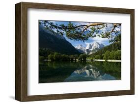 Mount Prisojnik (2,547M) and Mount Razor (2,601M) with Reflection in Pond, Triglav Np, Slovenia-Zupanc-Framed Photographic Print