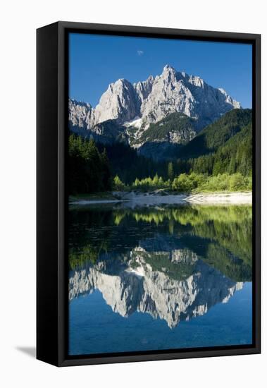 Mount Prisojnik (2,547M) with Reflection in a Small Pond , Kranjska Gora, Triglav Np, Slovenia-Zupanc-Framed Stretched Canvas