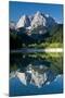 Mount Prisojnik (2,547M) with Reflection in a Small Pond , Kranjska Gora, Triglav Np, Slovenia-Zupanc-Mounted Premium Photographic Print