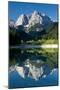 Mount Prisojnik (2,547M) with Reflection in a Small Pond , Kranjska Gora, Triglav Np, Slovenia-Zupanc-Mounted Photographic Print