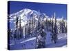 Mount Rainier after a Winter Storm, Mt. Rainier National Park, Washington, USA-Jamie & Judy Wild-Stretched Canvas