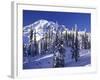 Mount Rainier after a Winter Storm, Mt. Rainier National Park, Washington, USA-Jamie & Judy Wild-Framed Photographic Print