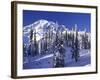 Mount Rainier after a Winter Storm, Mt. Rainier National Park, Washington, USA-Jamie & Judy Wild-Framed Photographic Print