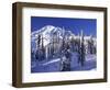 Mount Rainier after a Winter Storm, Mt. Rainier National Park, Washington, USA-Jamie & Judy Wild-Framed Photographic Print