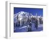 Mount Rainier after a Winter Storm, Mt. Rainier National Park, Washington, USA-Jamie & Judy Wild-Framed Photographic Print