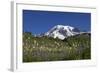 Mount Rainier and Alpine Meadows-null-Framed Photographic Print