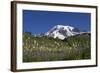 Mount Rainier and Alpine Meadows-null-Framed Photographic Print