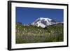 Mount Rainier and Alpine Meadows-null-Framed Photographic Print