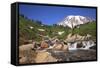 Mount Rainier and Mountain Stream, Washington State, USA-Mark Taylor-Framed Stretched Canvas