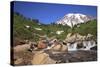 Mount Rainier and Mountain Stream, Washington State, USA-Mark Taylor-Stretched Canvas