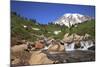 Mount Rainier and Mountain Stream, Washington State, USA-Mark Taylor-Mounted Photographic Print