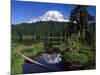 Mount Rainier and Reflection Lake-Terry Eggers-Mounted Photographic Print