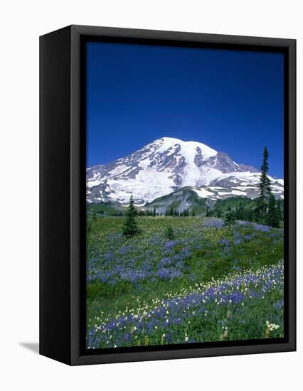 Mount Rainier and Wildflower Meadow-Terry Eggers-Framed Stretched Canvas