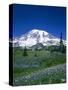 Mount Rainier and Wildflower Meadow-Terry Eggers-Stretched Canvas