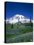 Mount Rainier and Wildflower Meadow-Terry Eggers-Stretched Canvas