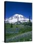 Mount Rainier and Wildflower Meadow-Terry Eggers-Stretched Canvas