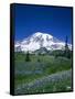 Mount Rainier and Wildflower Meadow-Terry Eggers-Framed Stretched Canvas