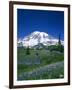 Mount Rainier and Wildflower Meadow-Terry Eggers-Framed Premium Photographic Print
