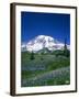 Mount Rainier and Wildflower Meadow-Terry Eggers-Framed Photographic Print