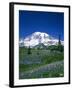 Mount Rainier and Wildflower Meadow-Terry Eggers-Framed Photographic Print