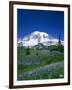 Mount Rainier and Wildflower Meadow-Terry Eggers-Framed Photographic Print