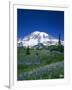 Mount Rainier and Wildflower Meadow-Terry Eggers-Framed Photographic Print