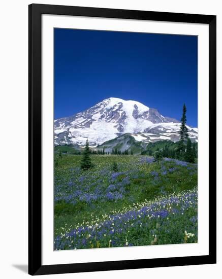 Mount Rainier and Wildflower Meadow-Terry Eggers-Framed Photographic Print